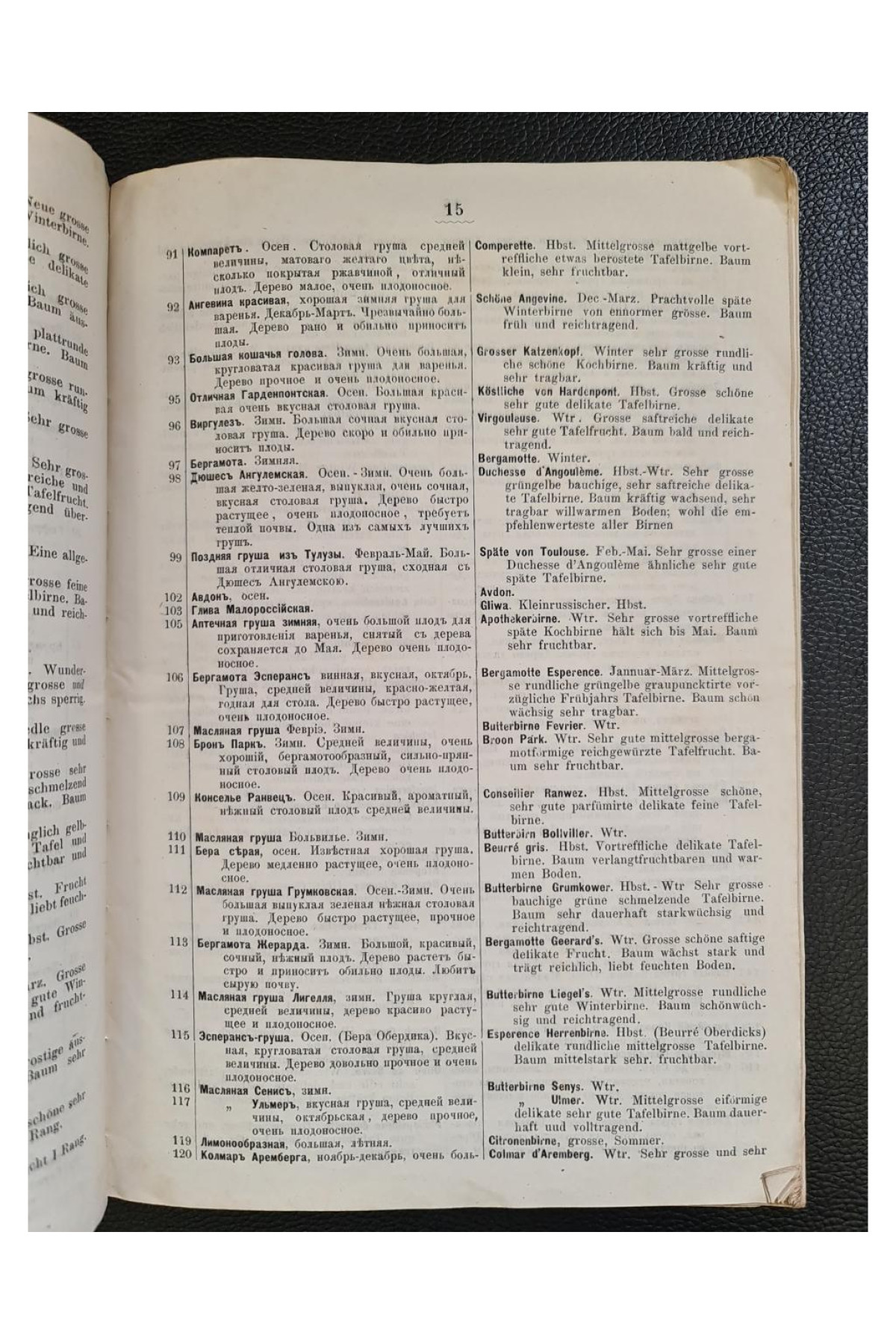 1879 г. Каталог питомника и тепличных растений Конрада Струсса в Киеве (1880-81)