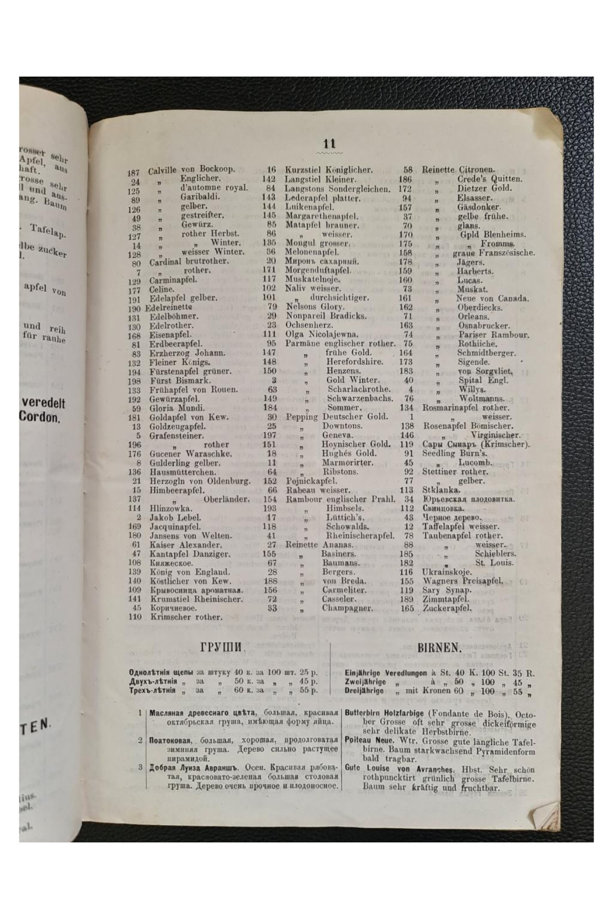 1879 г. Каталог питомника и тепличных растений Конрада Струсса в Киеве (1880-81)