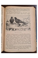 1930 р. Подорожі ДВОУ П.К. Козлова