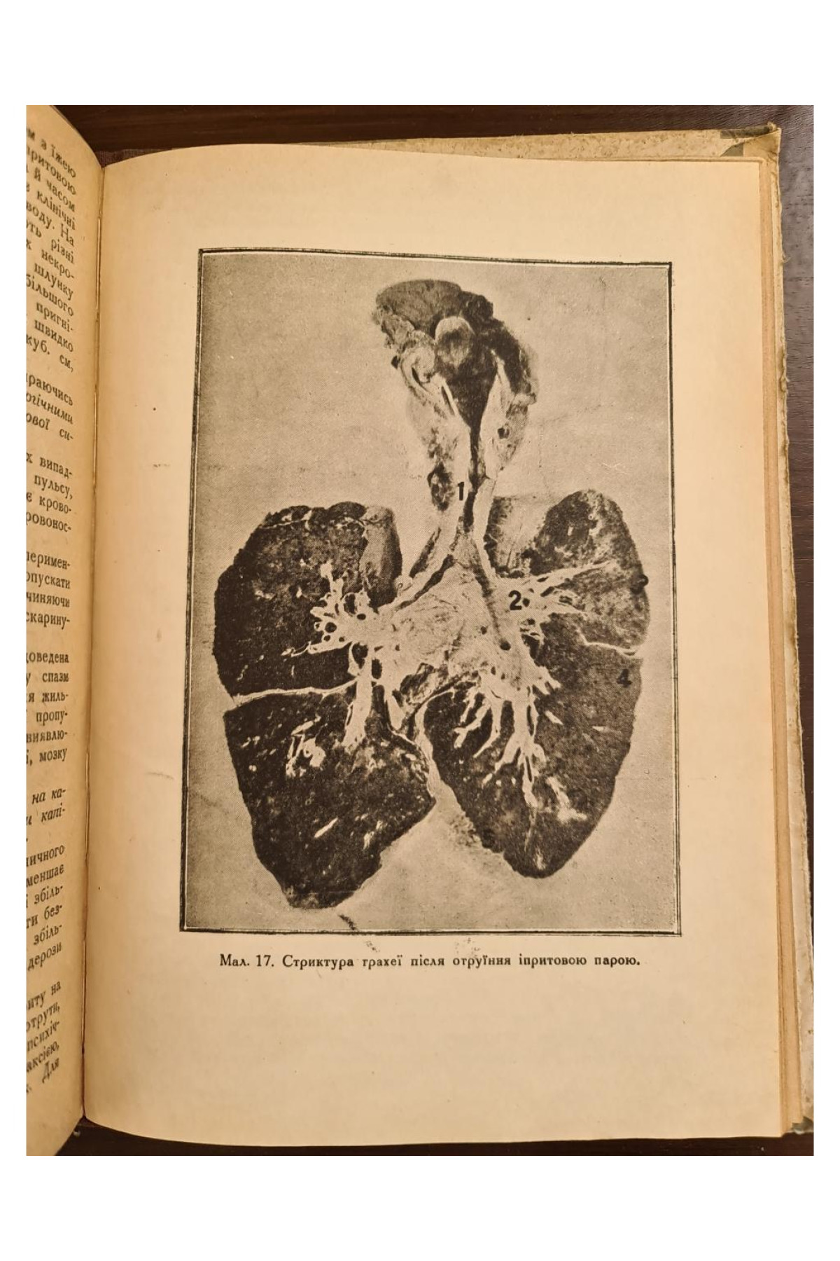 1931 р. Основи тиксикології бойових отруйних речовин ДВОУ  