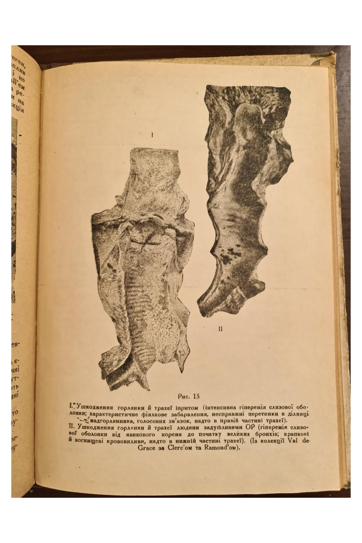1931 р. Основи тиксикології бойових отруйних речовин ДВОУ  