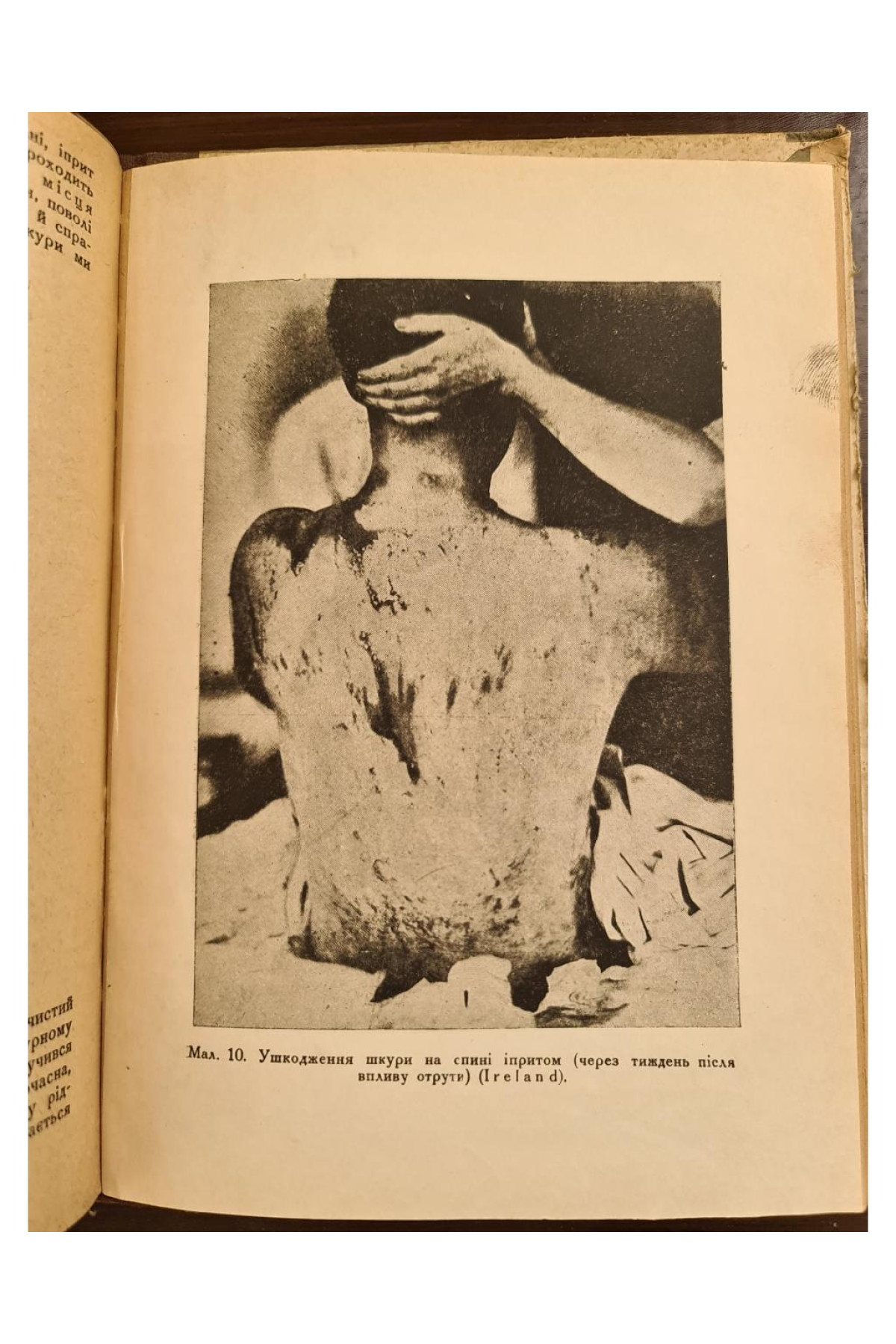 1931 р. Основи тиксикології бойових отруйних речовин ДВОУ  