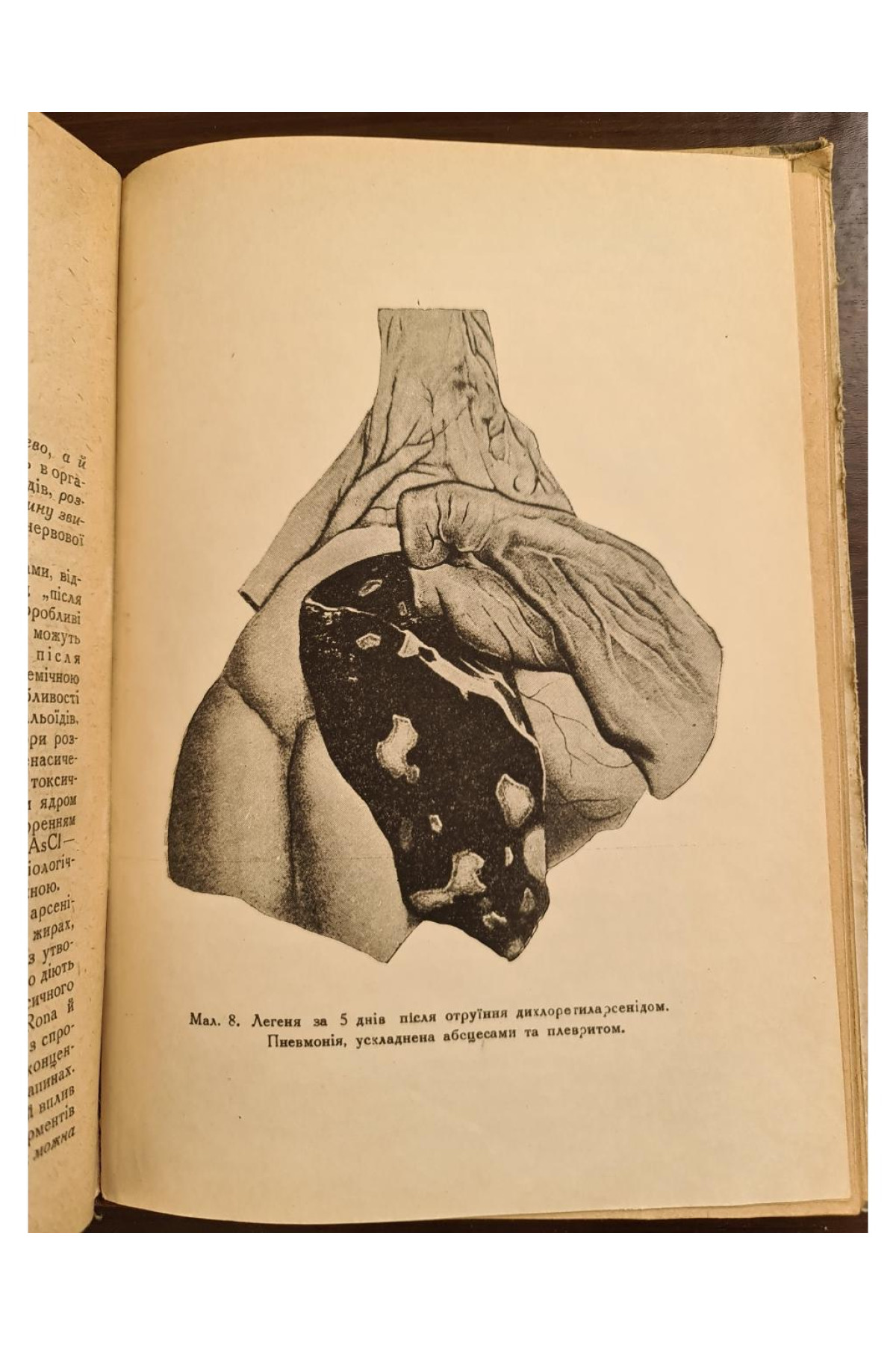 1931 р. Основи тиксикології бойових отруйних речовин ДВОУ  