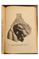 1931 р. Основи тиксикології бойових отруйних речовин ДВОУ  